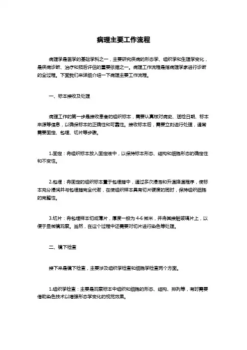 病理主要工作流程