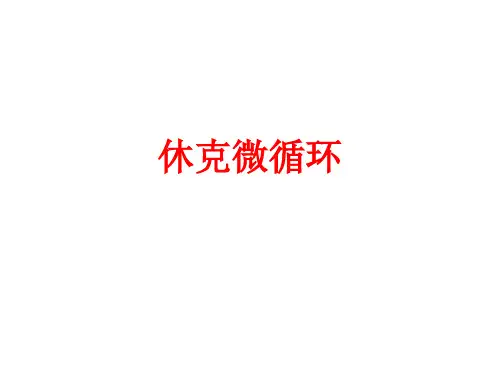 [课件]休克微循环PPT