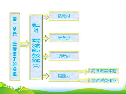 【三维设计】高中生物一轮复习 第一单元 第二讲 孟德尔的豌豆杂交实验(二)课件 新人教必修2