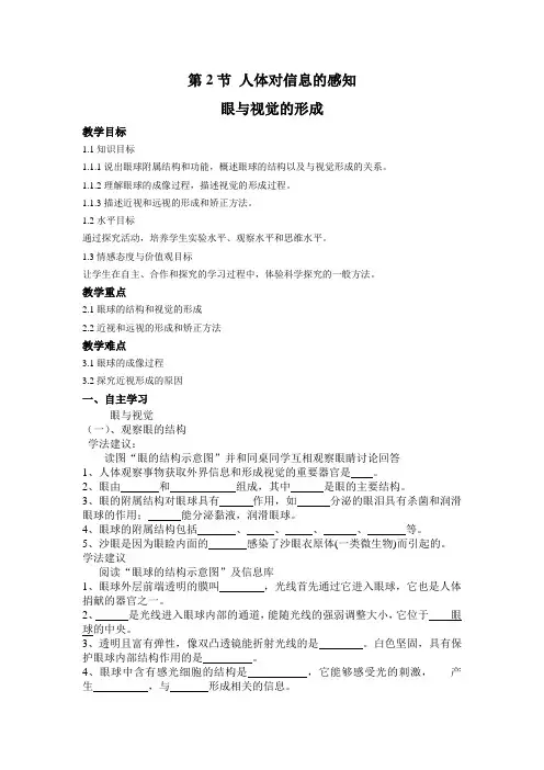 眼与视觉学案