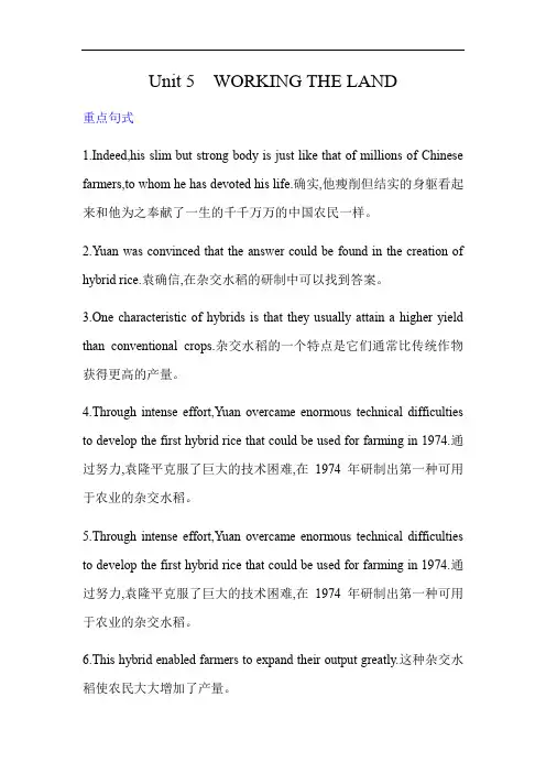 人教版选择性必修第一册unit5重点句式和语法讲解