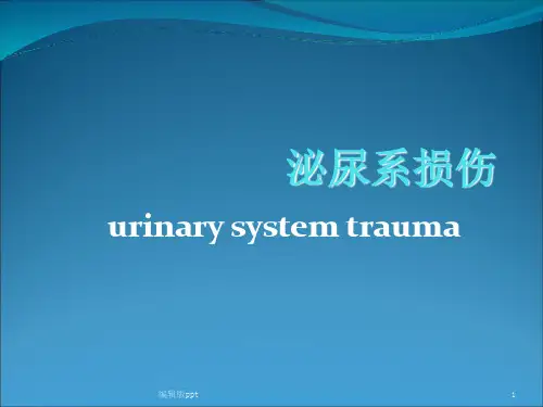 泌尿系损伤PPT课件