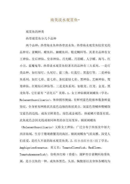 南美淡水观赏鱼--观赏鱼的种类