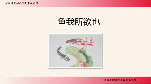 2024年中考语文专题复习-文言文《鱼我所欲也》课件