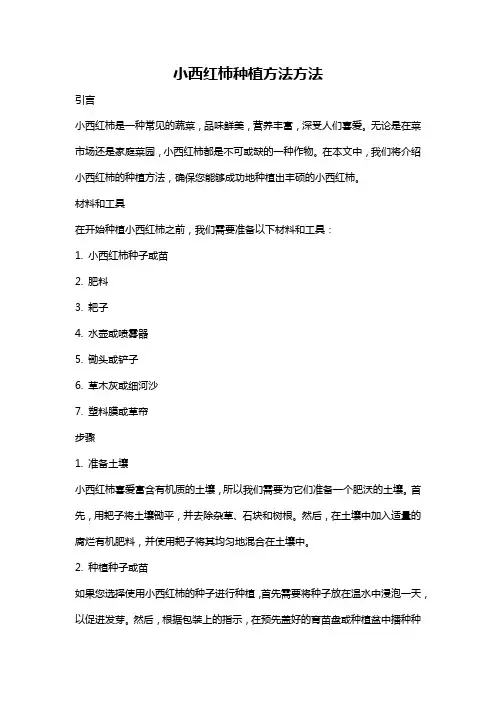小西红柿种植方法方法