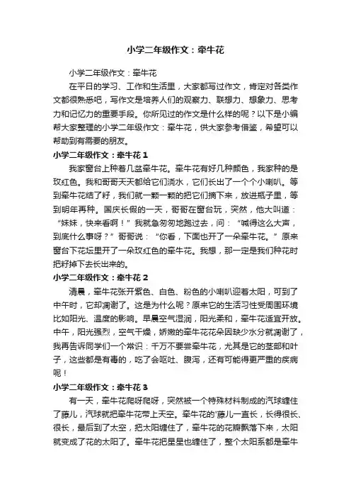 小学二年级作文：牵牛花