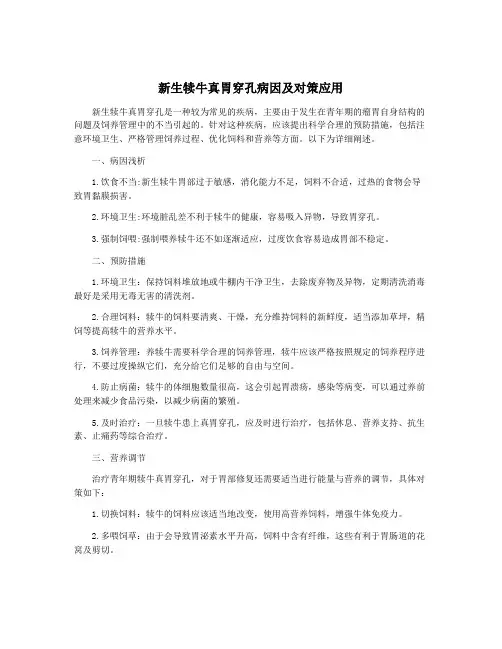 新生犊牛真胃穿孔病因及对策应用