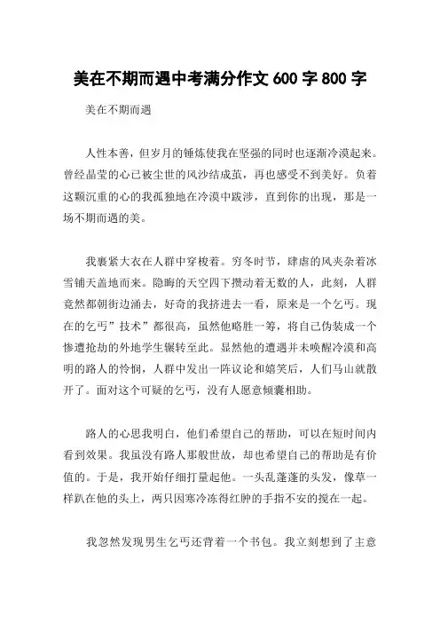 美在不期而遇中考满分作文600字800字