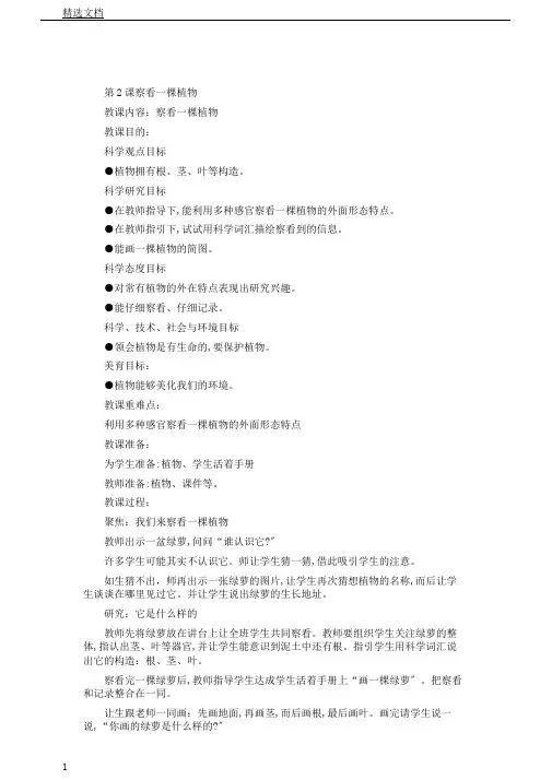 教科2017课标版科学一年级上册《植物2观察一棵植物》课教学设计0