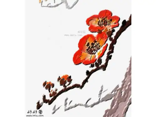 高二生物选修三《单克隆抗体的制备》精品PPT课件