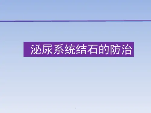泌尿系统结石的防治PPT课件