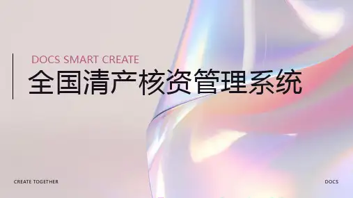 全国清产核资管理系统