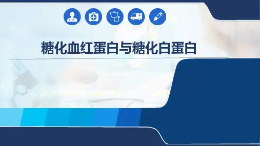 糖化血红蛋白与糖化白蛋白