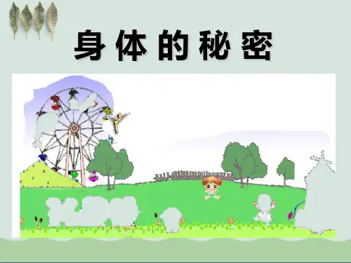 《身体的秘密》ppt
