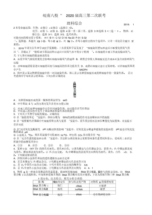 安徽省皖南八校2020届高三模拟考试理科综合试题及答案