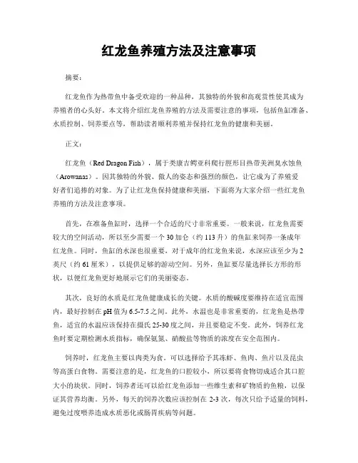 红龙鱼养殖方法及注意事项