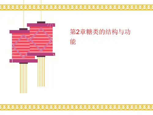 第2章糖类的讲义结构与功能