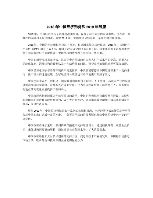 2018年中国经济形势和2019年展望