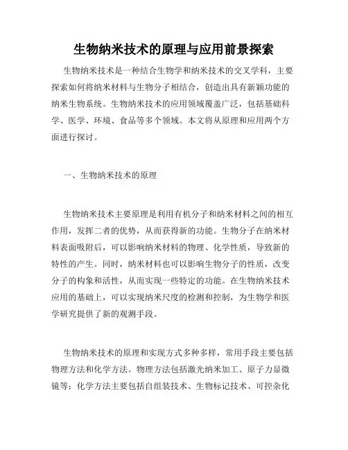 生物纳米技术的原理与应用前景探索