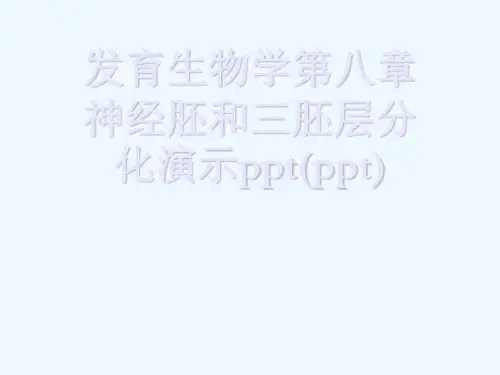 发育生物学第八章神经胚和三胚层分化演示ppt(ppt)