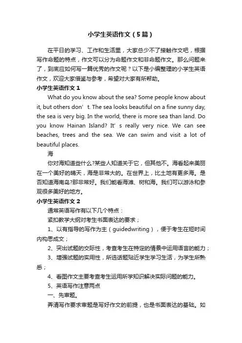 小学生英语作文（5篇）