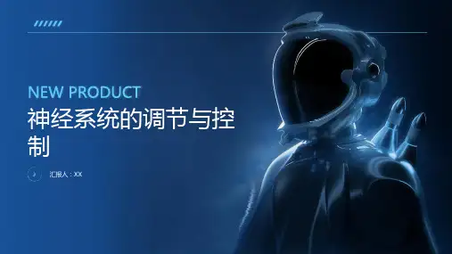 神经系统的调节与控制