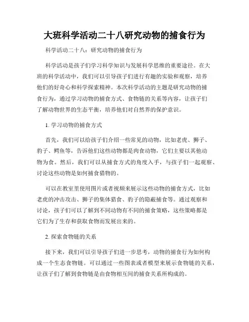 大班科学活动二十八研究动物的捕食行为