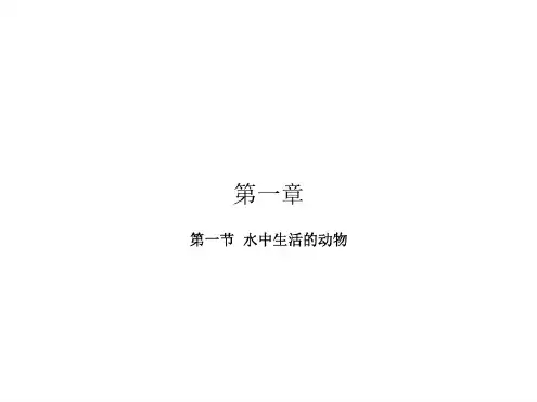 八年级生物水中生活的动物1