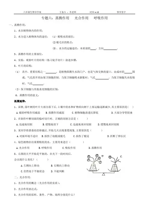 植物的三大作用