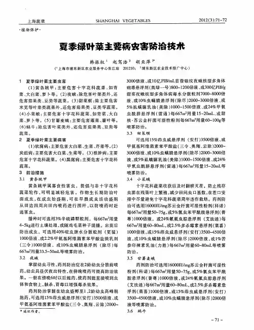 夏季绿叶菜主要病虫害防治技术