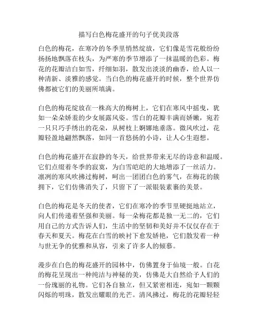 描写白色梅花盛开的句子优美段落