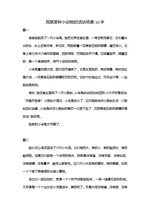 观察某种小动物的活动场景30字