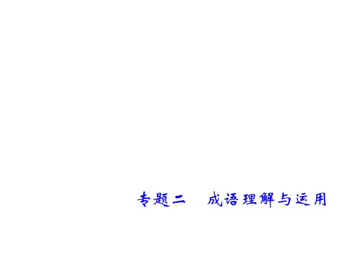 中考语文复习课件：第一部分专题二 成语理解与运用 (共18张PPT)(优质版)