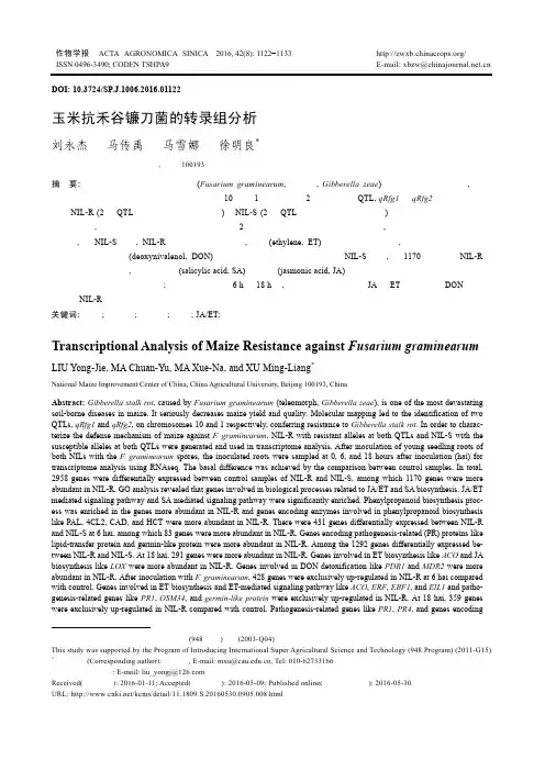 玉米抗禾谷镰刀菌的转录组分析