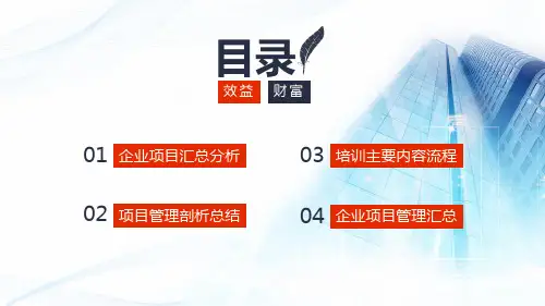 企业项目管理分析总结报告PPT专题演示