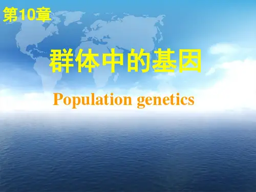 医学遗传学：第10章 群体中的基因