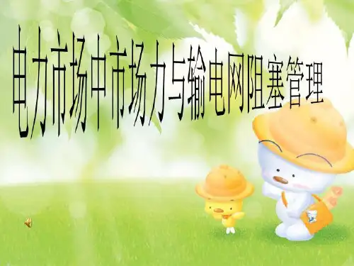 电力市场中市场力与输电网阻塞管理