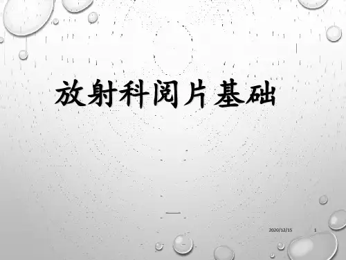 放射科阅片基础 ppt课件