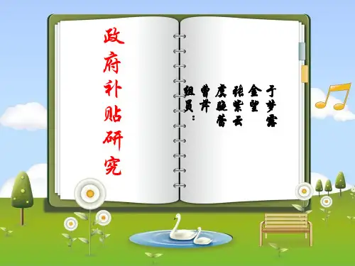 政府补贴