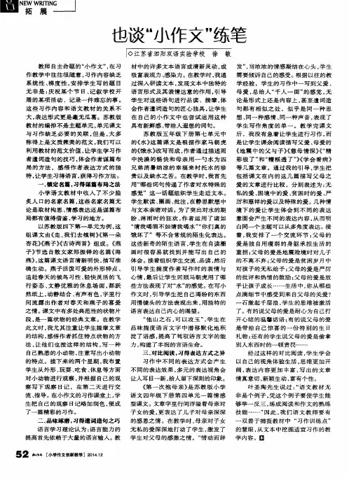 也谈“小作文”练笔