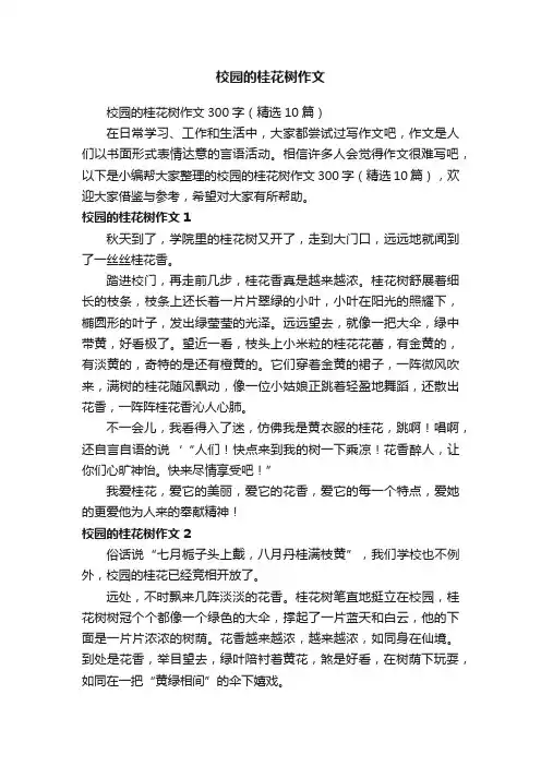 校园的桂花树作文300字（精选10篇）