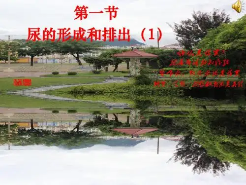 《尿液的形成和排出》教学课件6 济南版