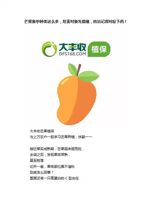 芒果象甲种类这么多，危害对象先搞懂，防治记得对症下药！