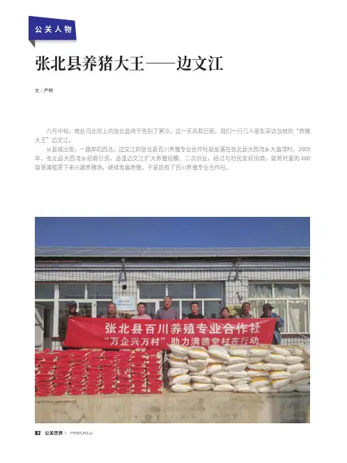 张北县养猪大王——边文江
