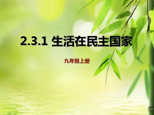 《生活在民主国家》追求民主价值PPT课件(完美版)