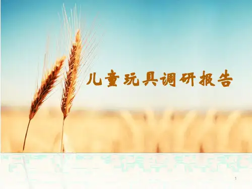 儿童玩具调研报告ppt课件