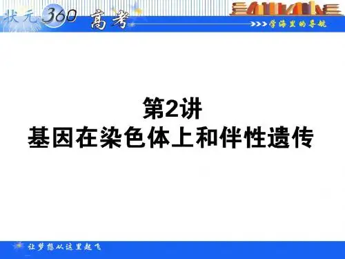 【状元360】2015高考生物一轮总复习基础课件：2.2.2 基因在染色体上和伴性遗传