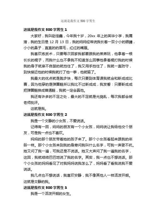 这就是我作文500字男生
