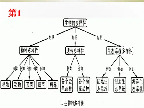 精选教育北师大七年级上册生物总概念图(共30张)PPT课件