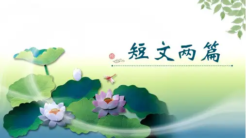 最新部编人教版语文七年级下册《短文两篇(陋室铭、爱莲说)》优质课件